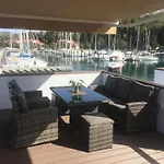 Boat House Gecko